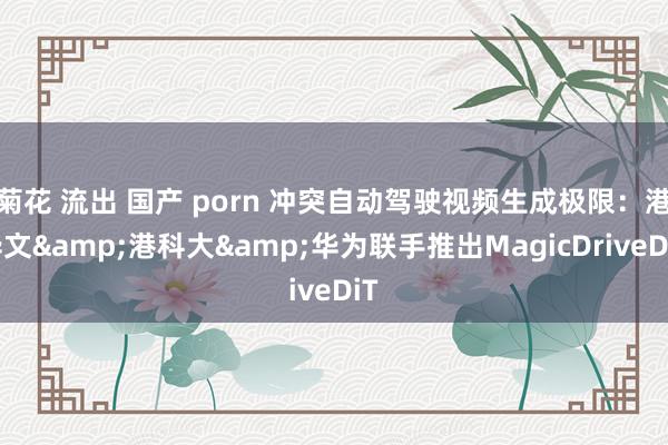 菊花 流出 国产 porn 冲突自动驾驶视频生成极限：港华文&港科大&华为联手推出MagicDriveDiT