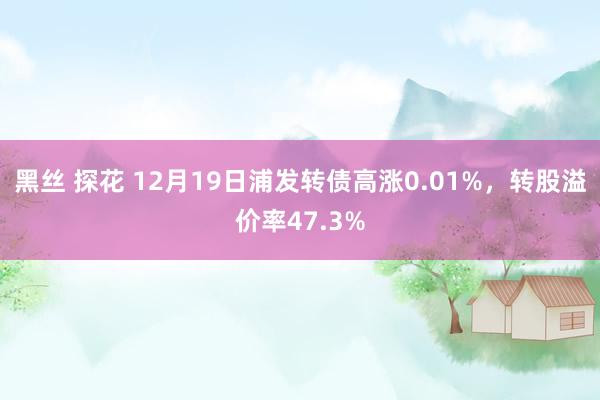 黑丝 探花 12月19日浦发转债高涨0.01%，转股溢价率47.3%