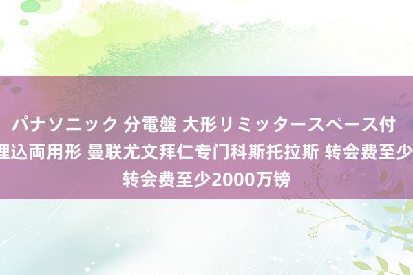 パナソニック 分電盤 大形リミッタースペース付 露出・半埋込両用形 曼联尤文拜仁专门科斯托拉斯 转会费至少2000万镑