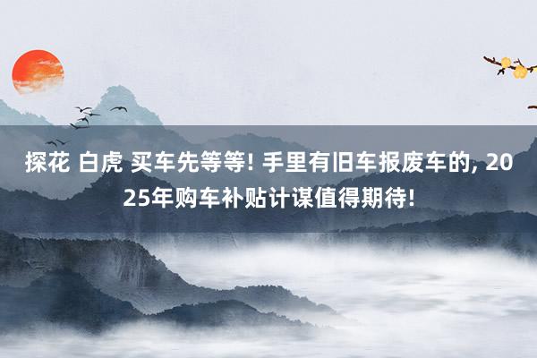 探花 白虎 买车先等等! 手里有旧车报废车的， 2025年购车补贴计谋值得期待!