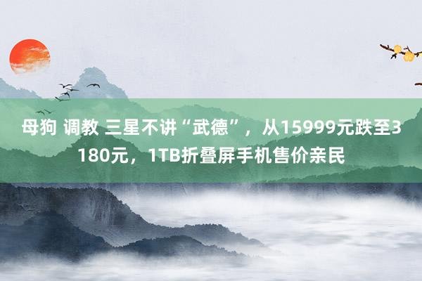 母狗 调教 三星不讲“武德”，从15999元跌至3180元，1TB折叠屏手机售价亲民