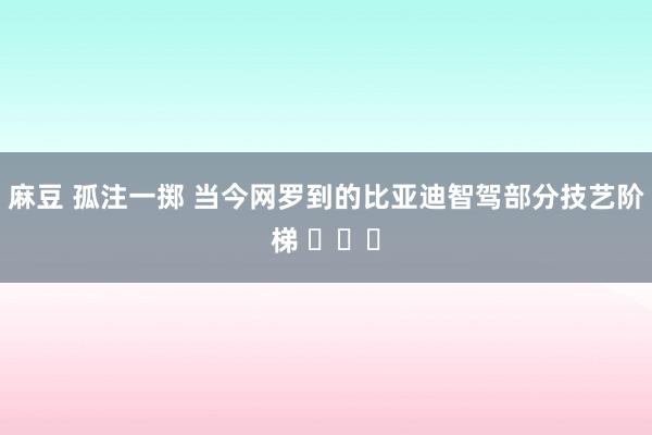 麻豆 孤注一掷 当今网罗到的比亚迪智驾部分技艺阶梯 ​​​