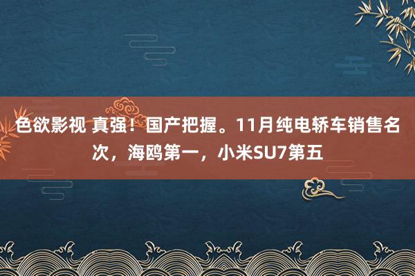 色欲影视 真强！国产把握。11月纯电轿车销售名次，海鸥第一，小米SU7第五