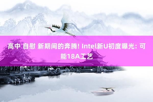 高中 自慰 新期间的奔腾! Intel新U初度曝光: 可能18A工艺