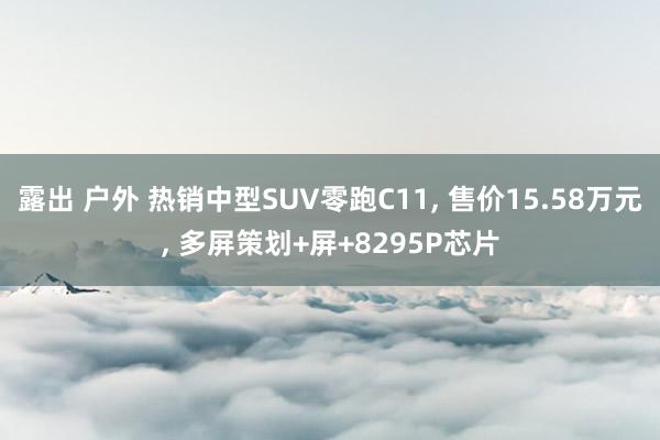 露出 户外 热销中型SUV零跑C11， 售价15.58万元， 多屏策划+屏+8295P芯片