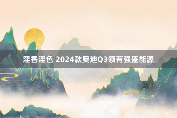 淫香淫色 2024款奥迪Q3领有强盛能源