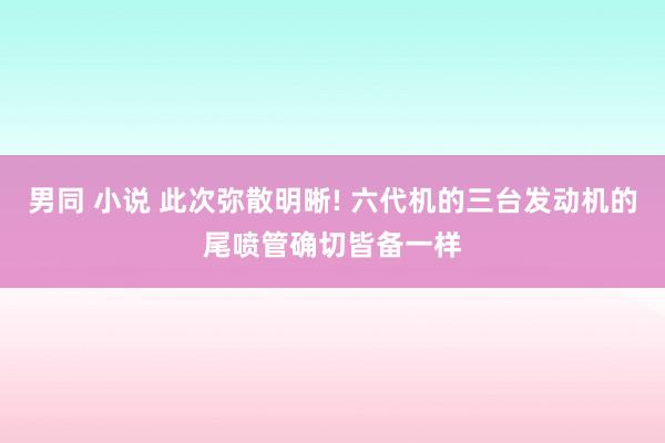 男同 小说 此次弥散明晰! 六代机的三台发动机的尾喷管确切皆备一样