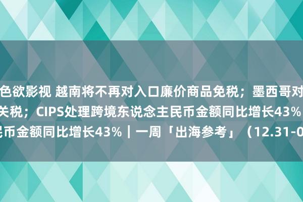 色欲影视 越南将不再对入口廉价商品免税；墨西哥对跨境电商平台征收16%关税；CIPS处理跨境东说念主民币金额同比增长43%｜一周「出海参考」（12.31-01.05）