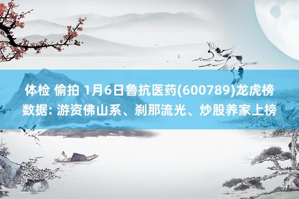 体检 偷拍 1月6日鲁抗医药(600789)龙虎榜数据: 游资佛山系、刹那流光、炒股养家上榜