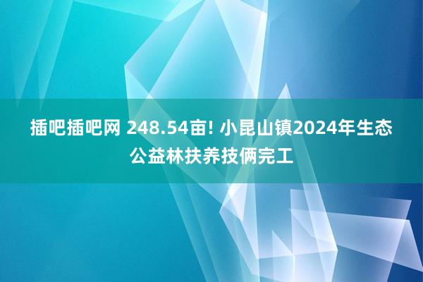 插吧插吧网 248.54亩! 小昆山镇2024年生态公益林扶养技俩完工