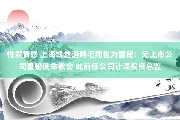 性爱情感 上海凯鑫遴聘毛翔祖为董秘：无上市公司董秘使命教会 此前任公司计谋投资总监