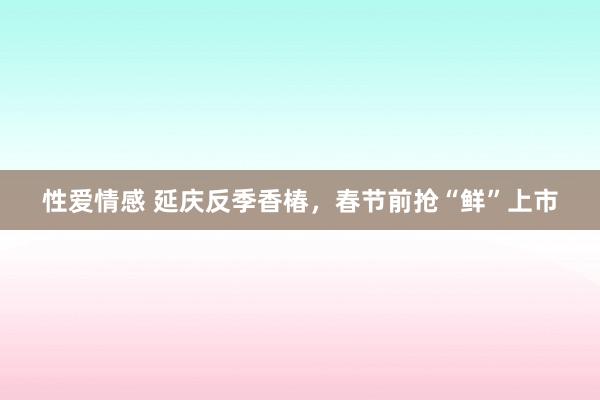 性爱情感 延庆反季香椿，春节前抢“鲜”上市